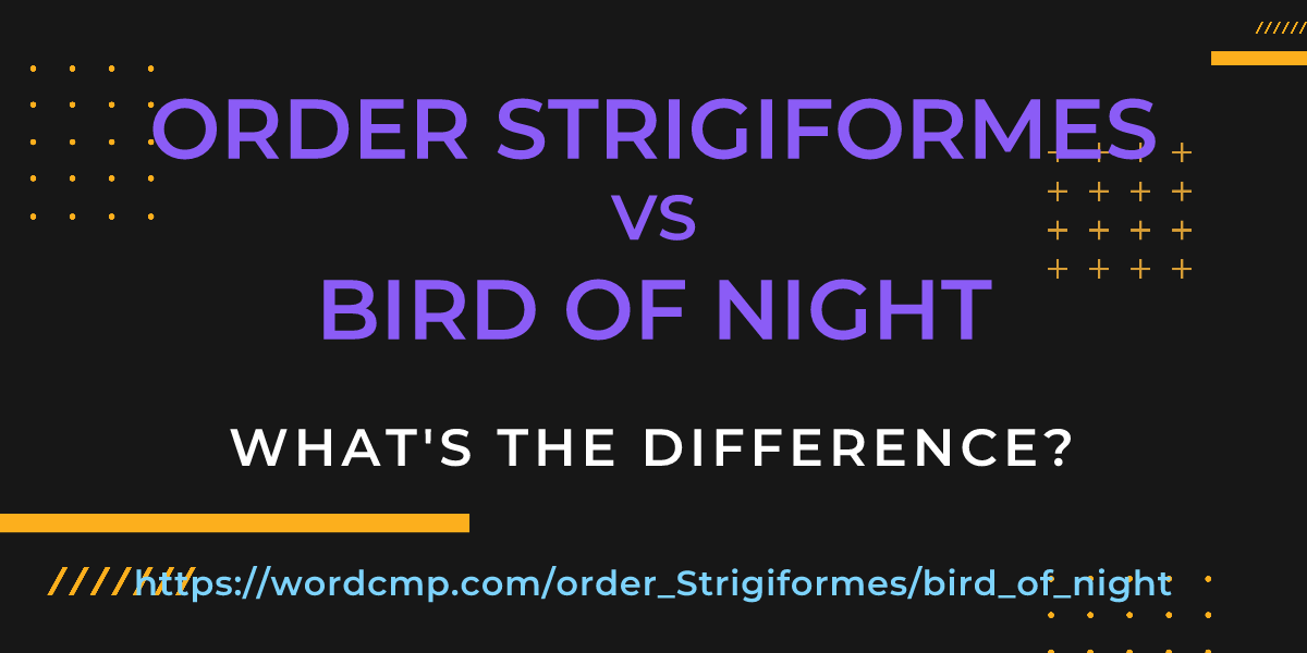 Difference between order Strigiformes and bird of night