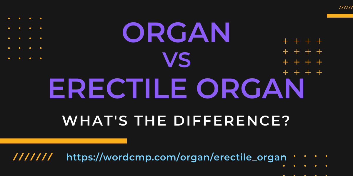 Difference between organ and erectile organ