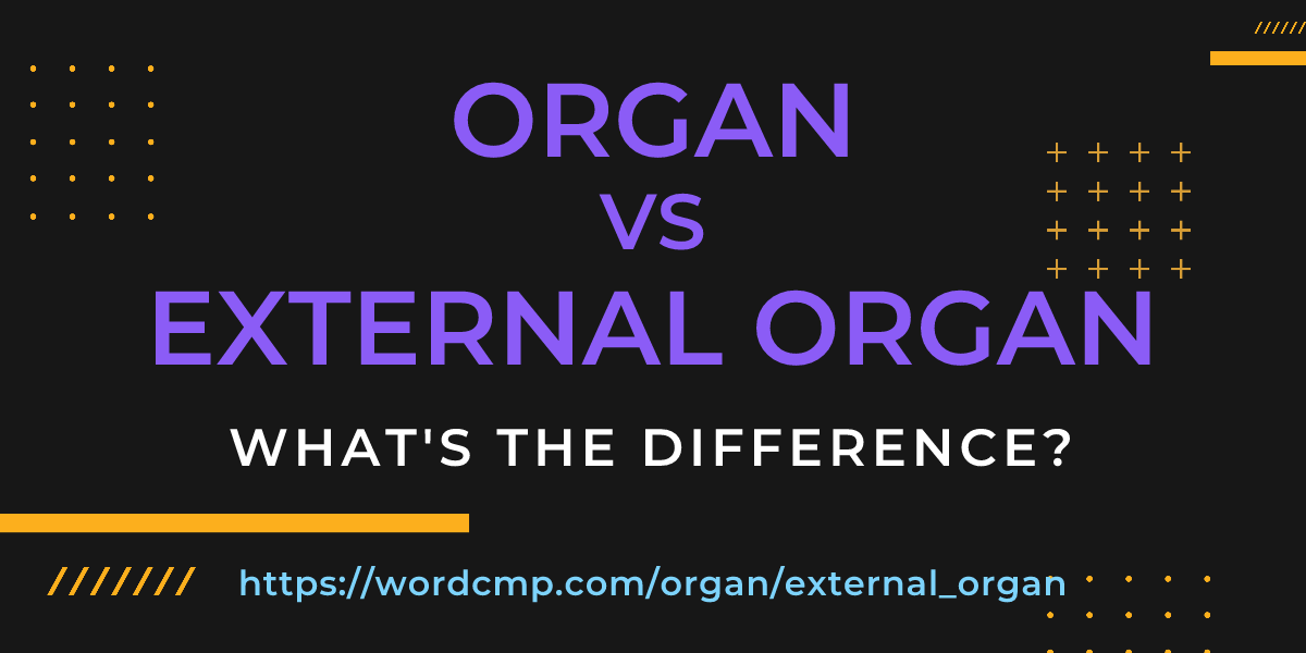 Difference between organ and external organ