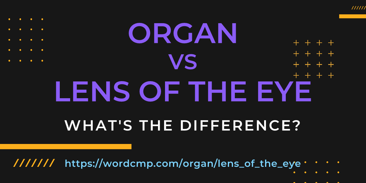 Difference between organ and lens of the eye