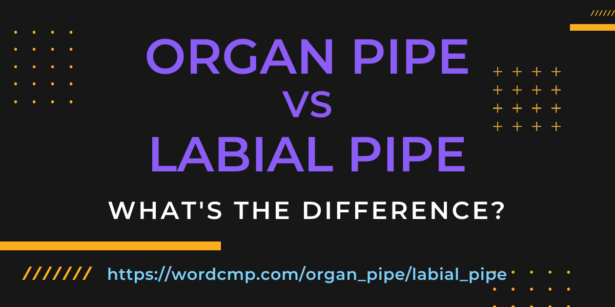 Difference between organ pipe and labial pipe