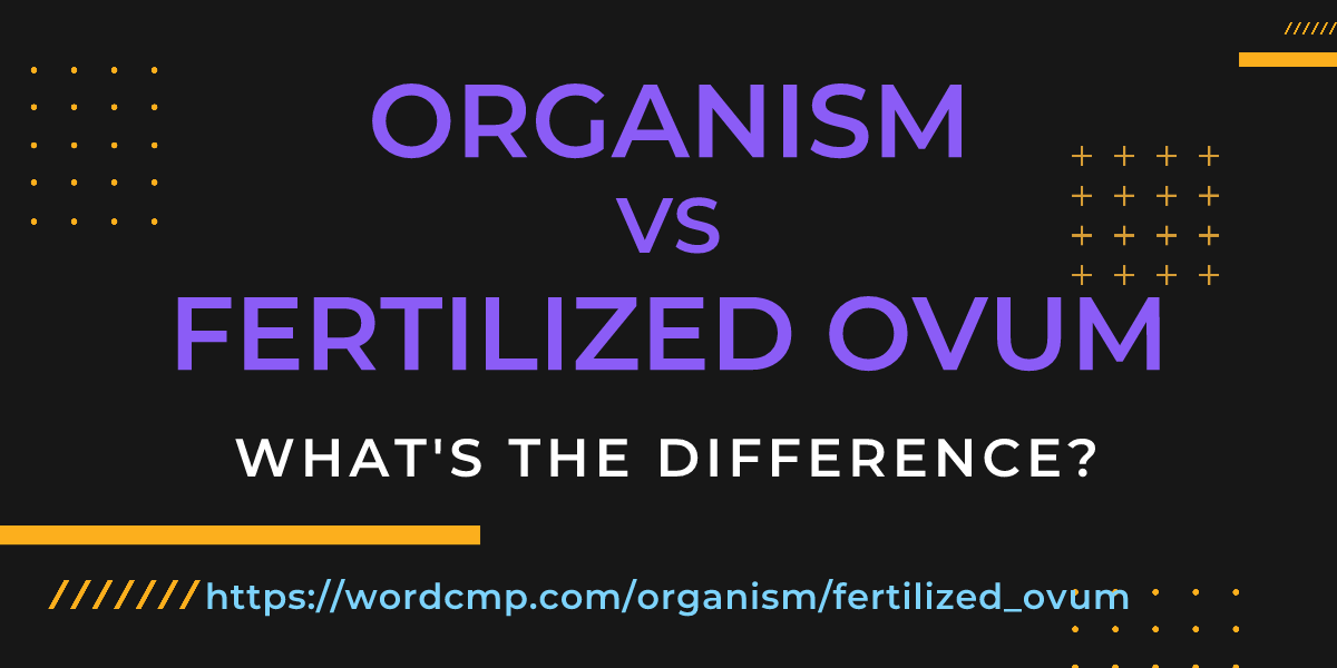 Difference between organism and fertilized ovum