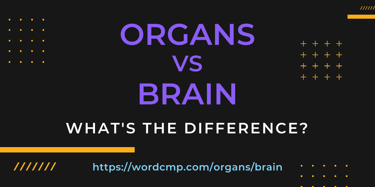 Difference between organs and brain