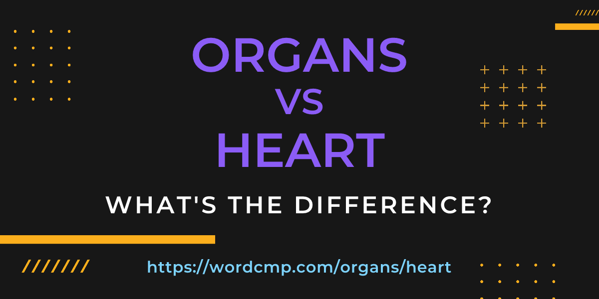Difference between organs and heart