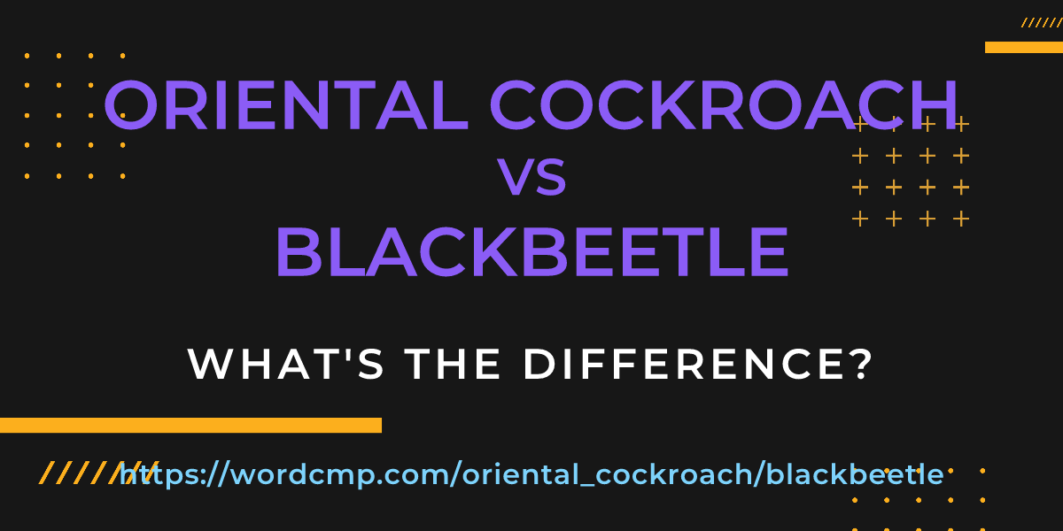 Difference between oriental cockroach and blackbeetle