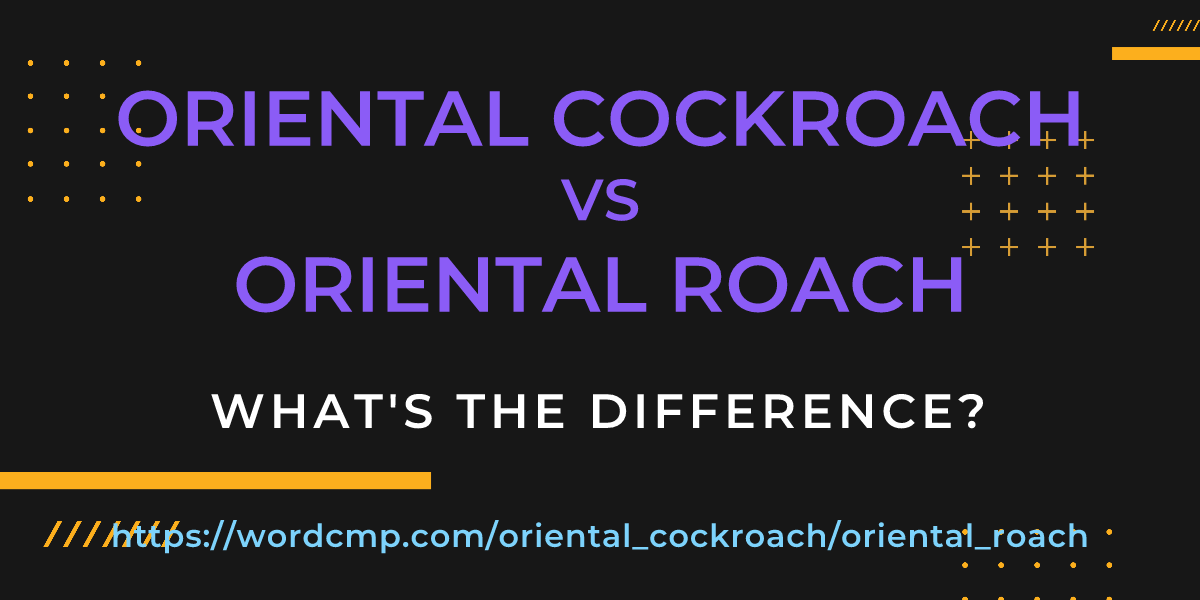 Difference between oriental cockroach and oriental roach