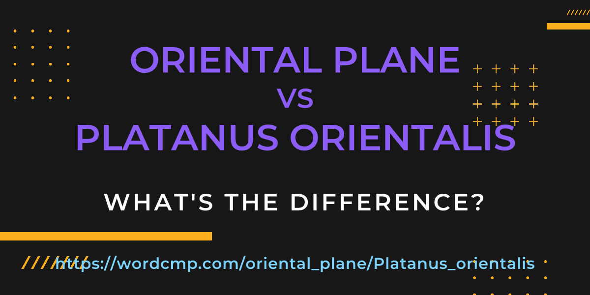 Difference between oriental plane and Platanus orientalis