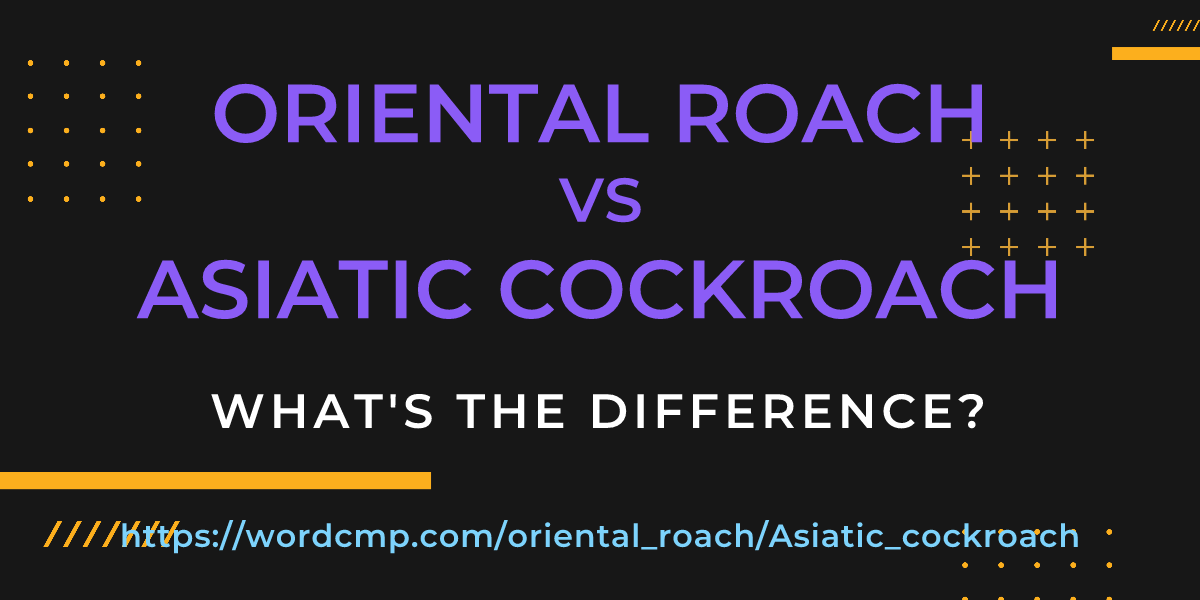 Difference between oriental roach and Asiatic cockroach