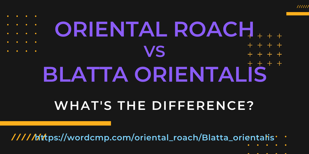 Difference between oriental roach and Blatta orientalis