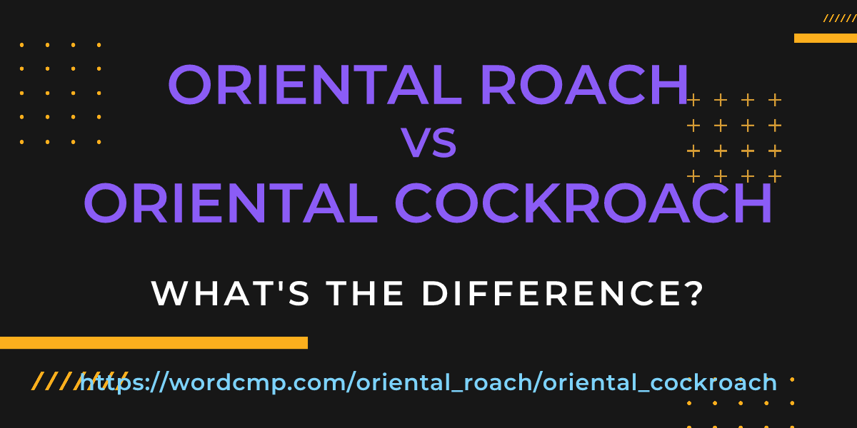 Difference between oriental roach and oriental cockroach