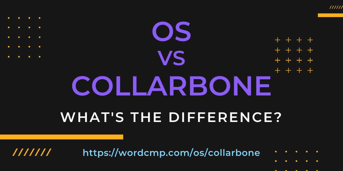 Difference between os and collarbone