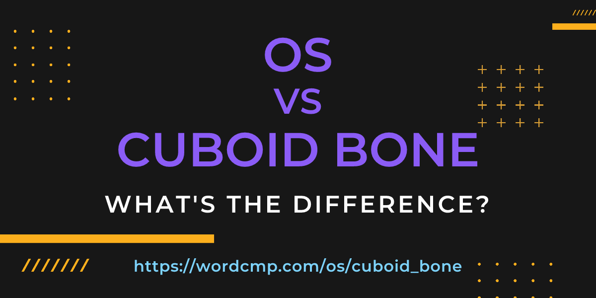 Difference between os and cuboid bone
