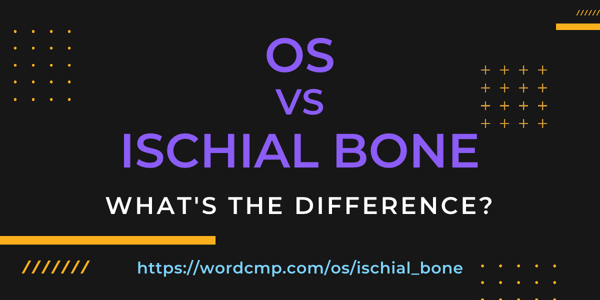 Difference between os and ischial bone