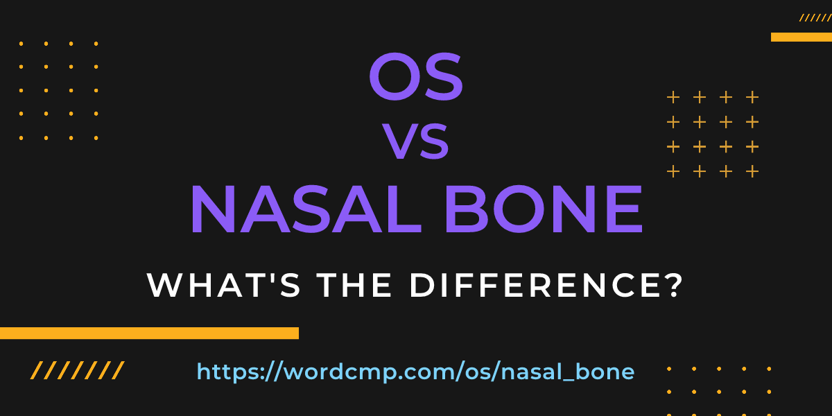 Difference between os and nasal bone
