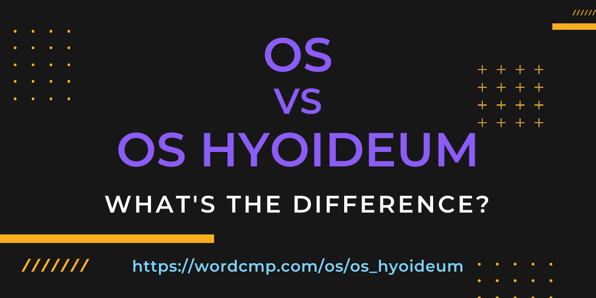 Difference between os and os hyoideum
