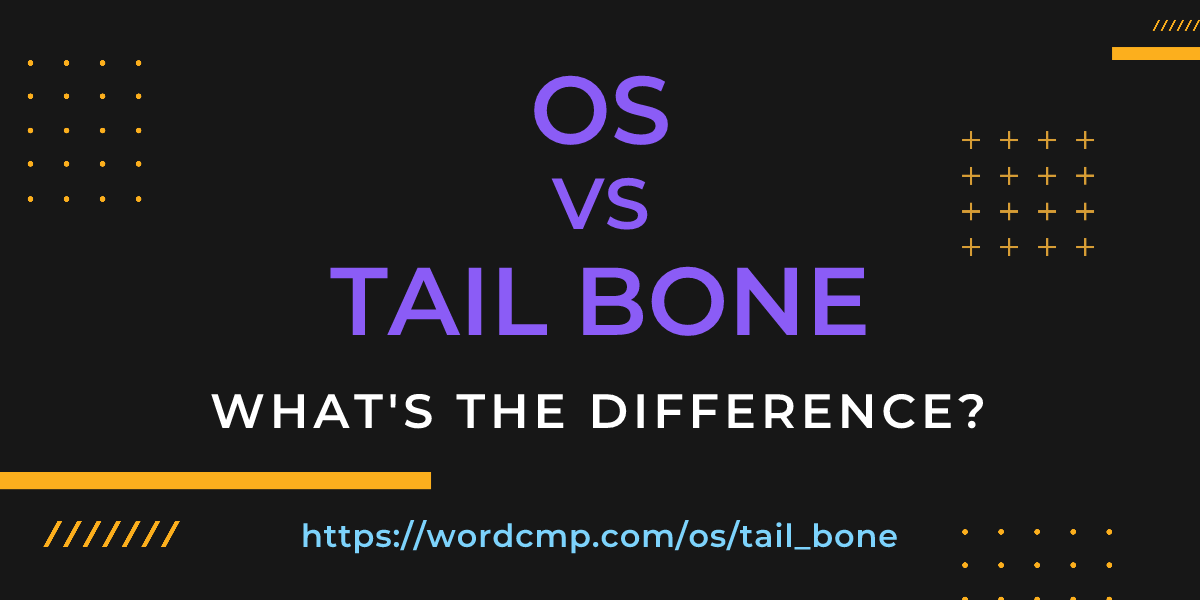 Difference between os and tail bone