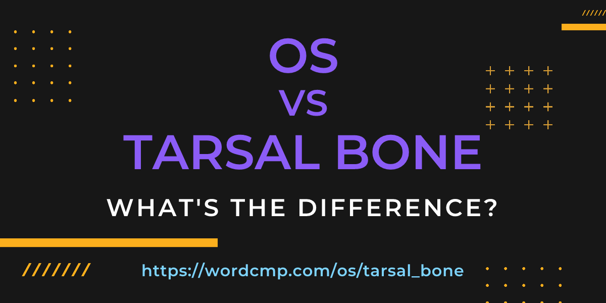 Difference between os and tarsal bone