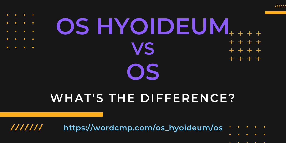 Difference between os hyoideum and os