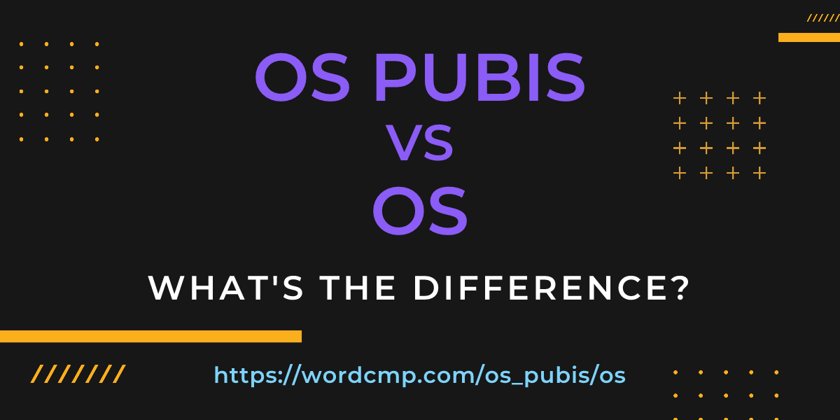 Difference between os pubis and os