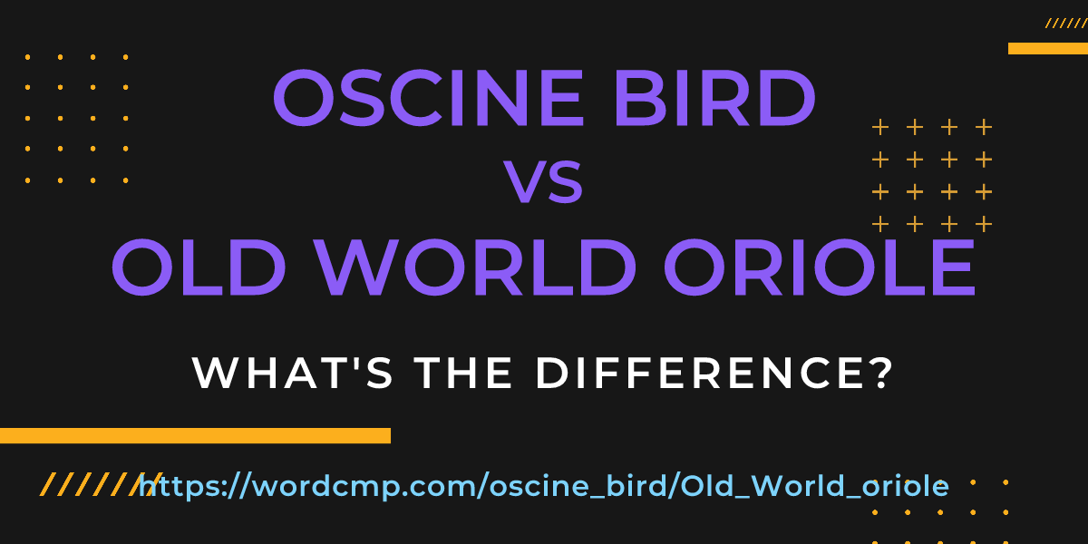 Difference between oscine bird and Old World oriole