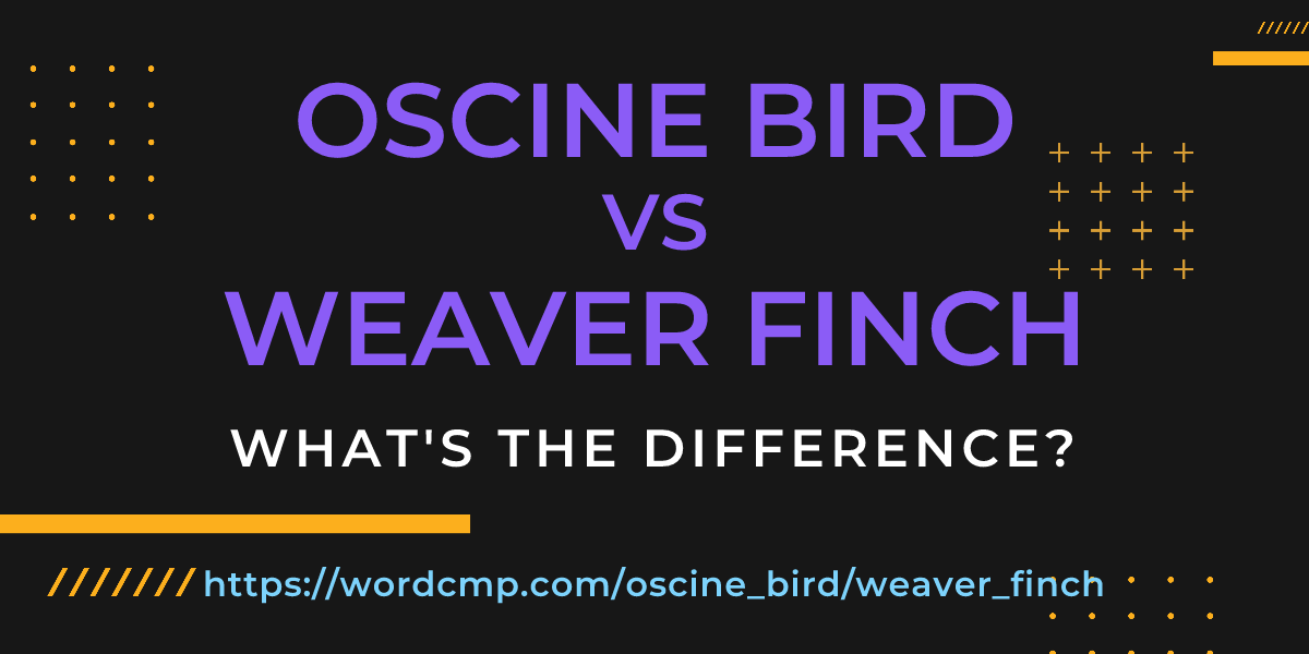 Difference between oscine bird and weaver finch