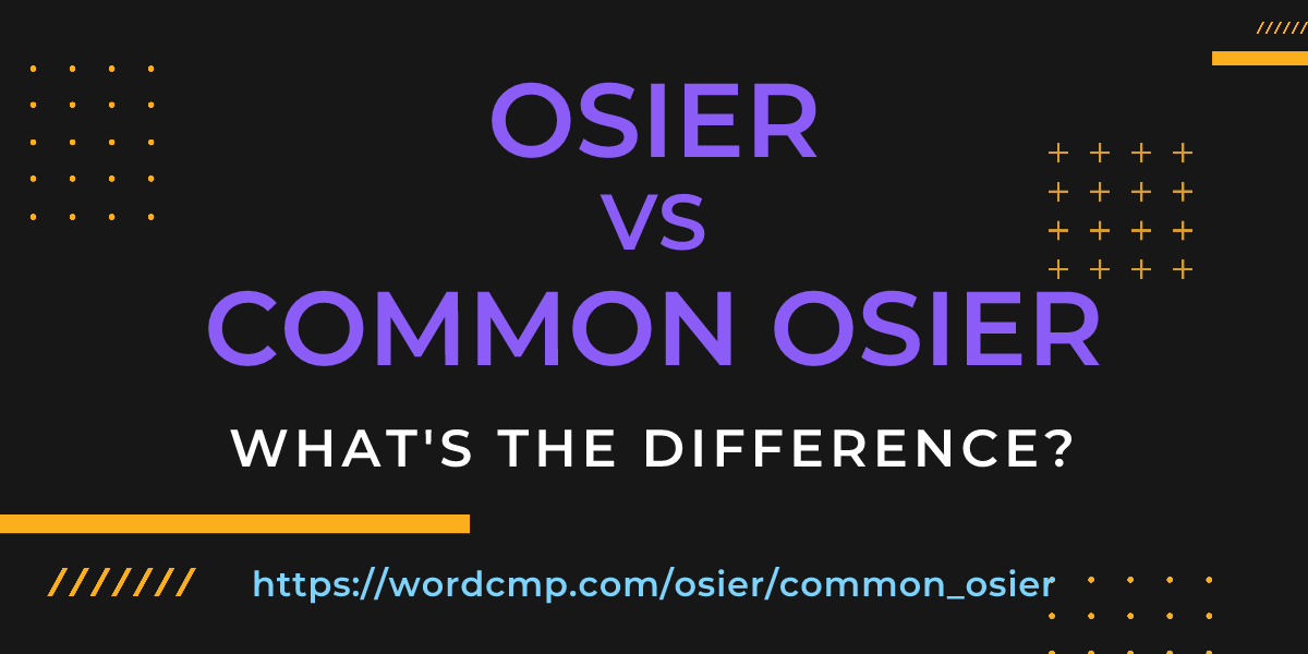 Difference between osier and common osier