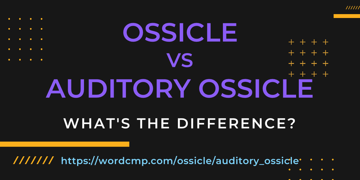 Difference between ossicle and auditory ossicle