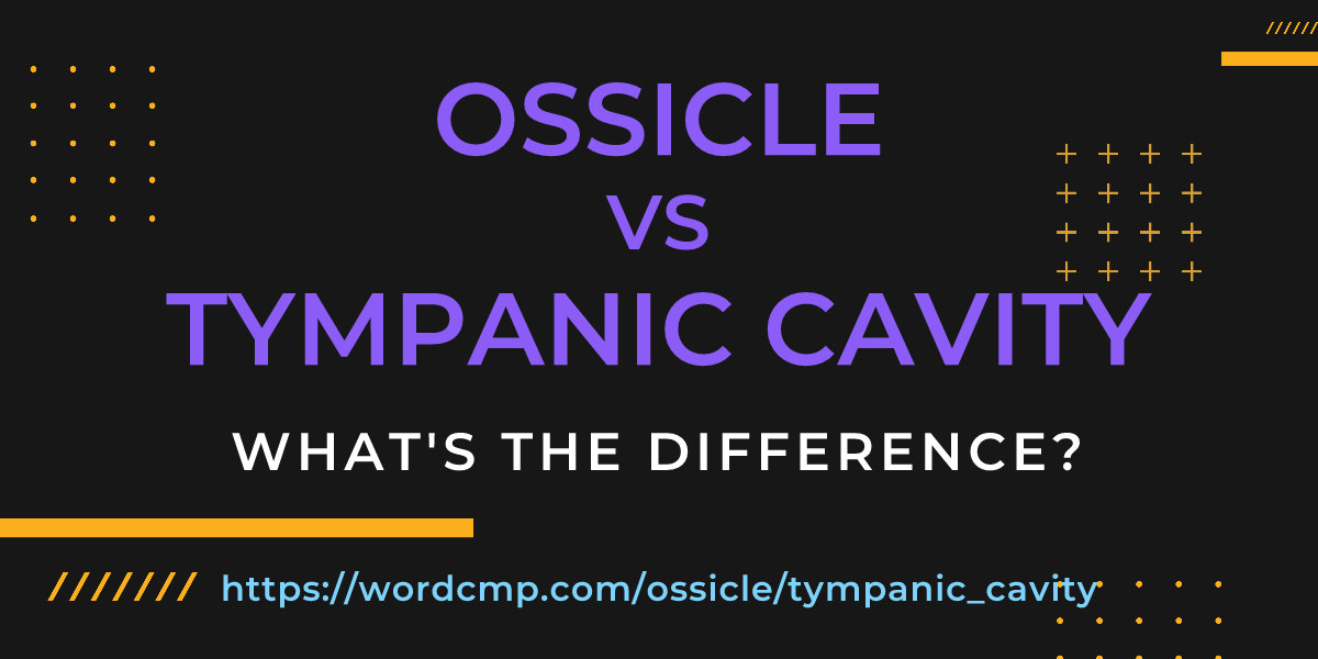 Difference between ossicle and tympanic cavity