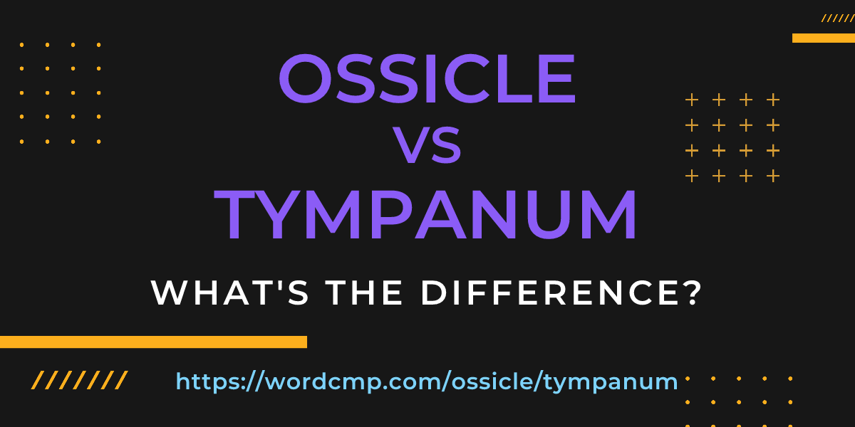 Difference between ossicle and tympanum