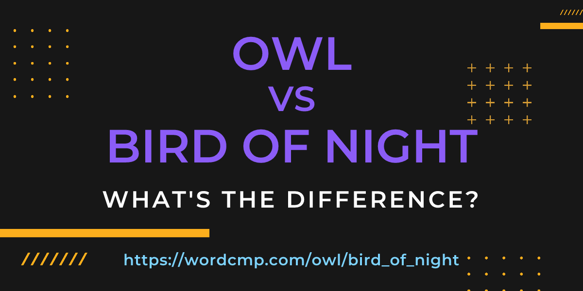 Difference between owl and bird of night
