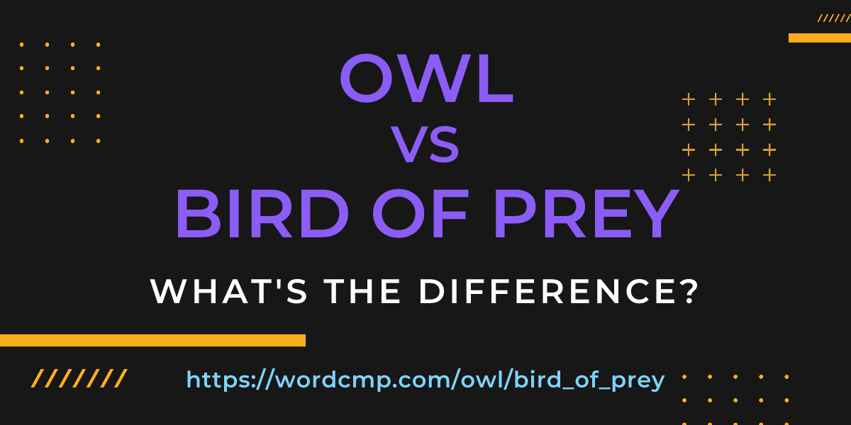 Difference between owl and bird of prey