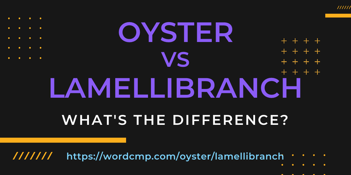 Difference between oyster and lamellibranch