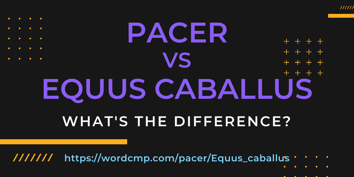 Difference between pacer and Equus caballus