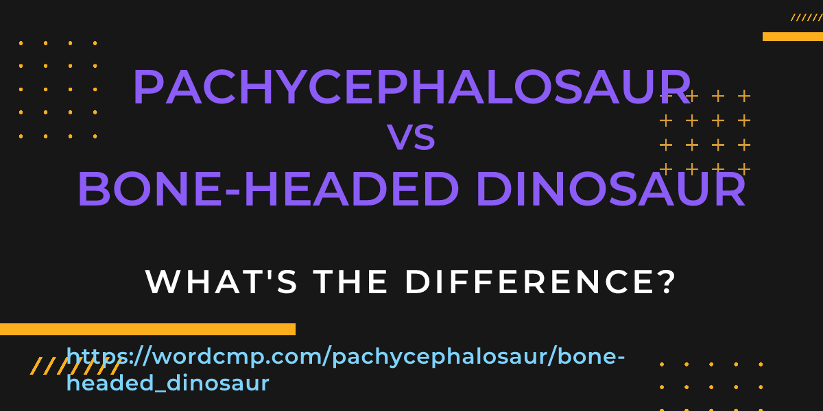 Difference between pachycephalosaur and bone-headed dinosaur