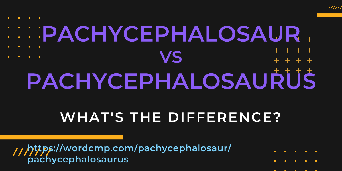 Difference between pachycephalosaur and pachycephalosaurus