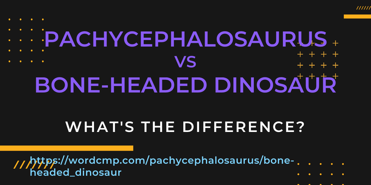 Difference between pachycephalosaurus and bone-headed dinosaur
