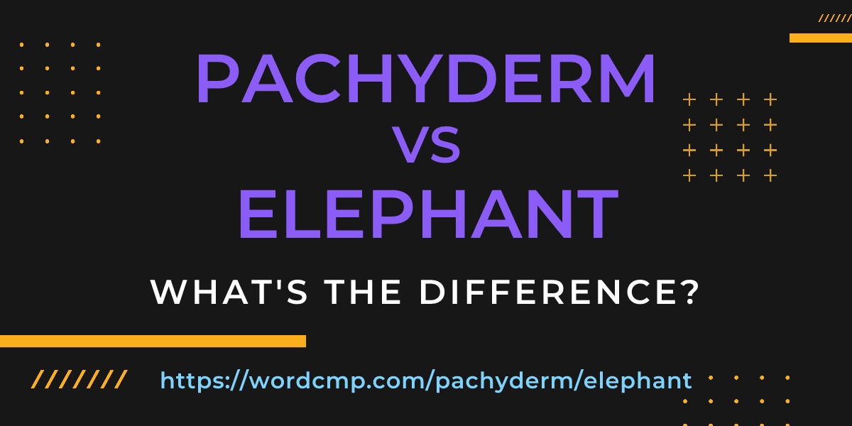 Difference between pachyderm and elephant