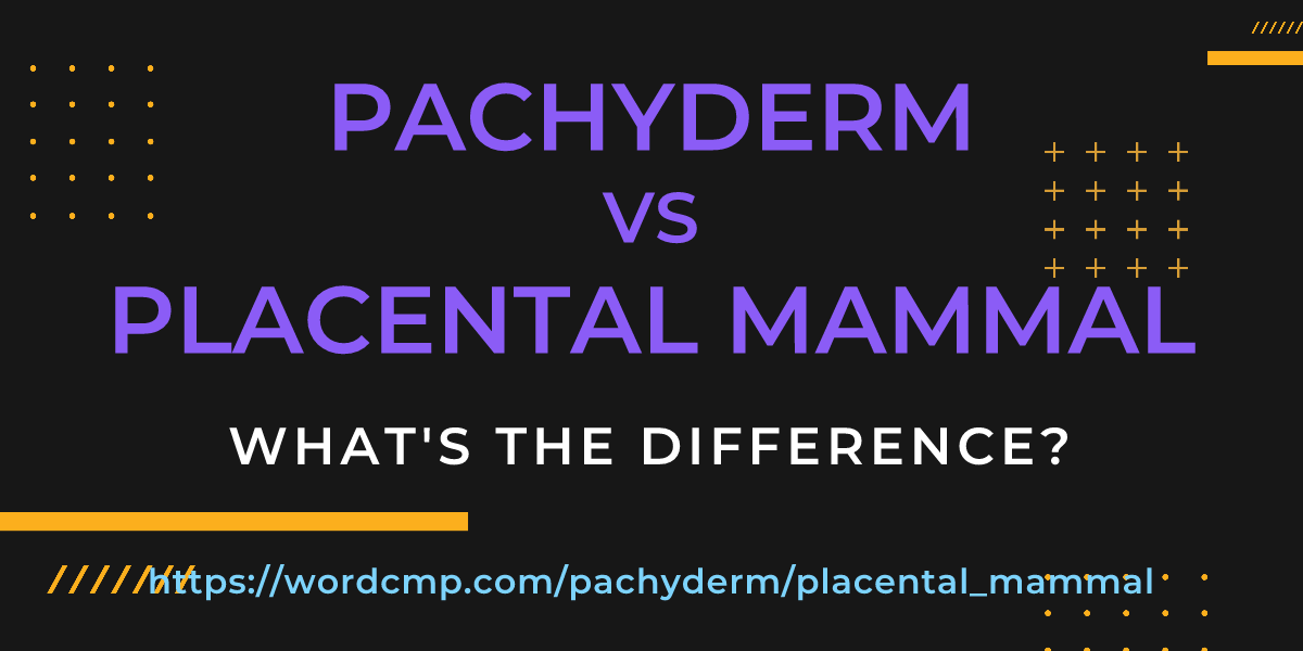Difference between pachyderm and placental mammal