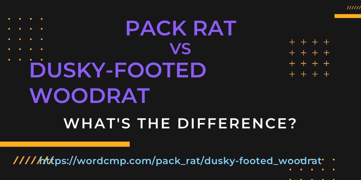 Difference between pack rat and dusky-footed woodrat