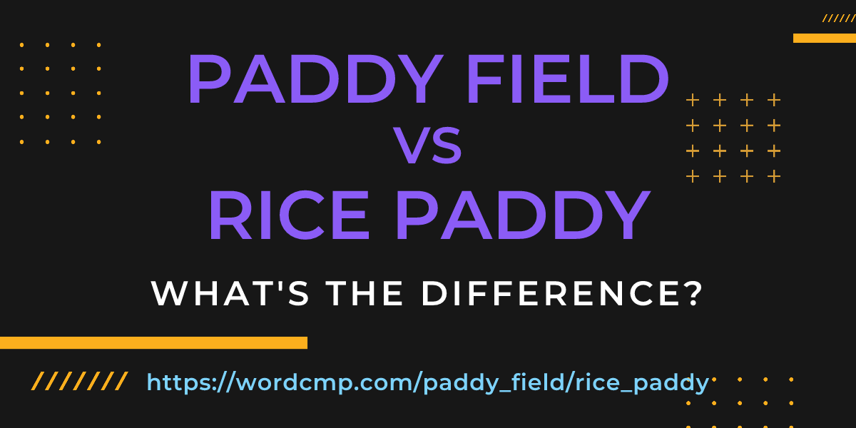 Difference between paddy field and rice paddy