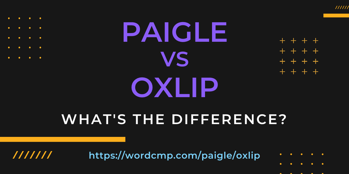 Difference between paigle and oxlip
