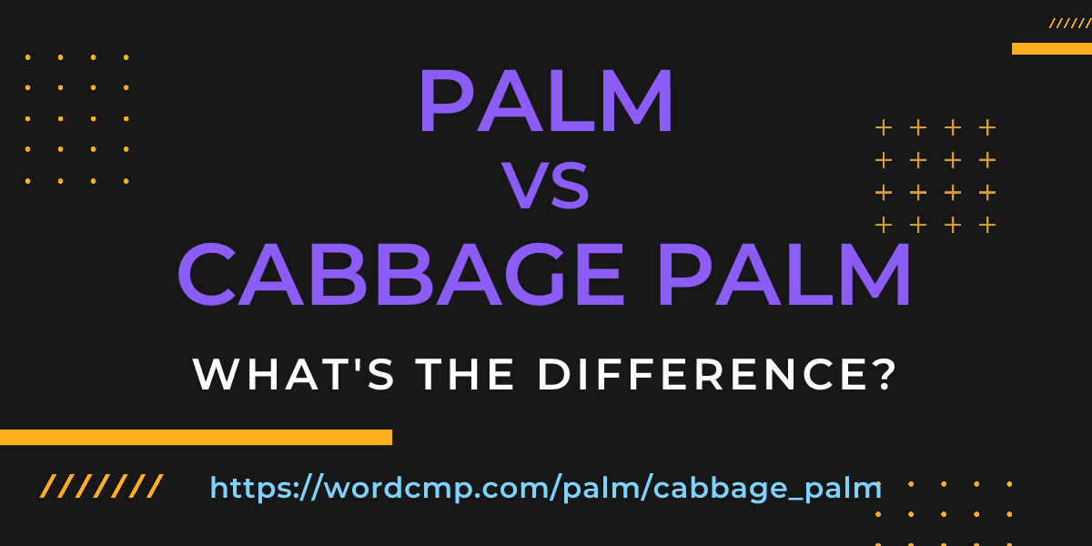 Difference between palm and cabbage palm