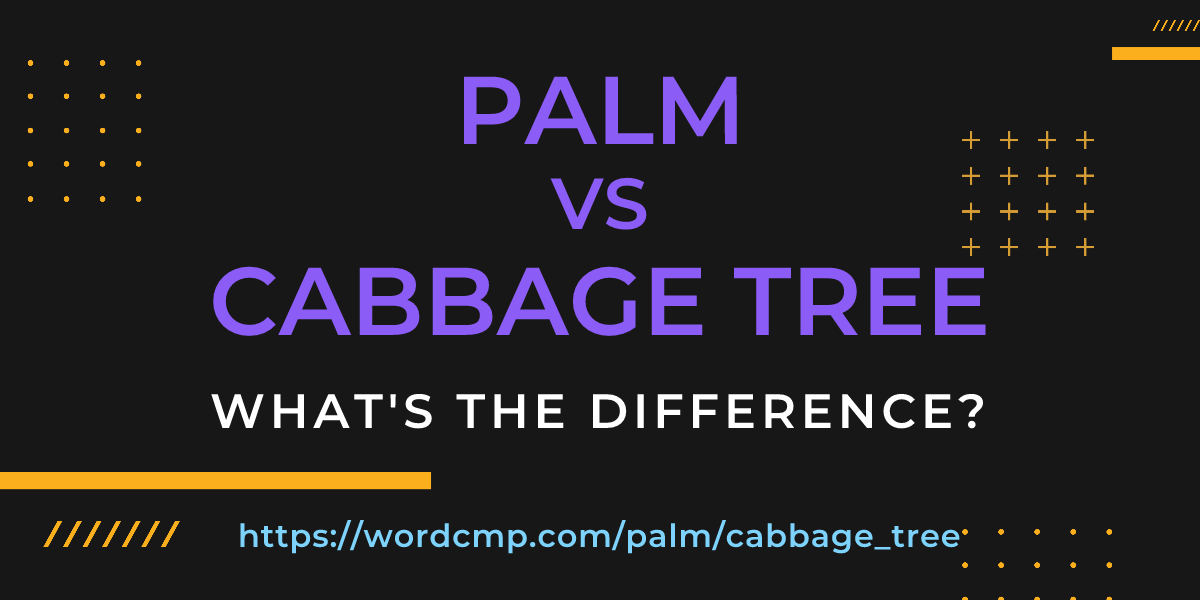 Difference between palm and cabbage tree