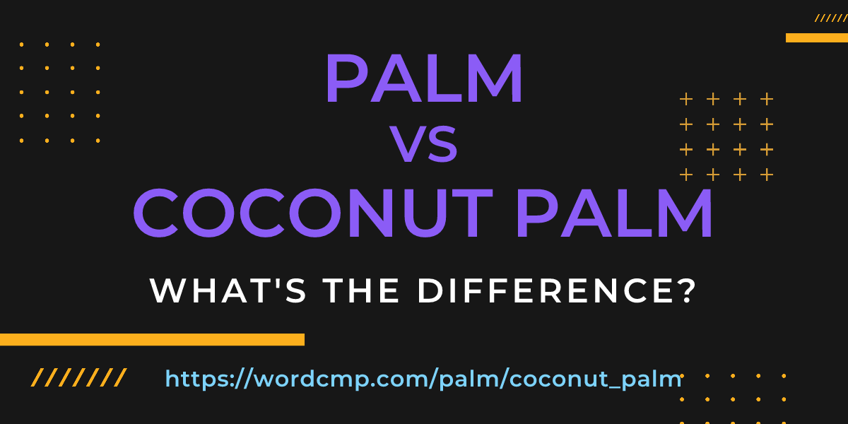 Difference between palm and coconut palm