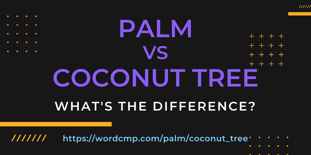 Difference between palm and coconut tree