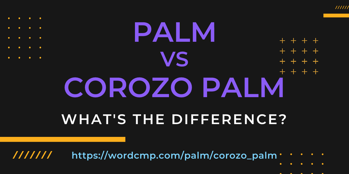 Difference between palm and corozo palm