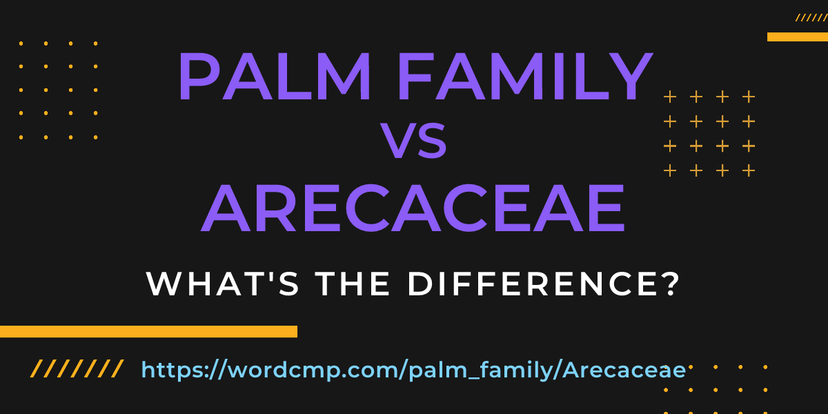 Difference between palm family and Arecaceae