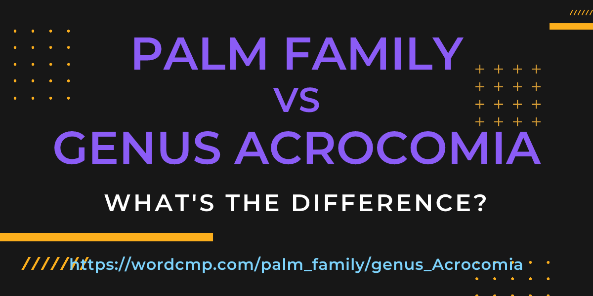 Difference between palm family and genus Acrocomia