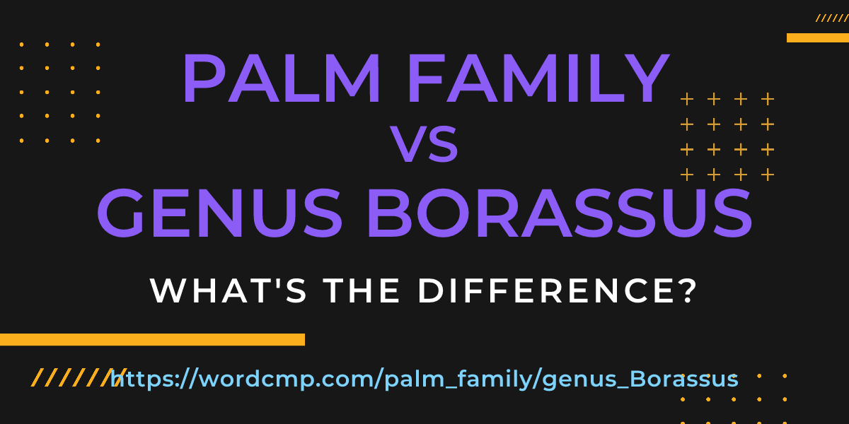 Difference between palm family and genus Borassus