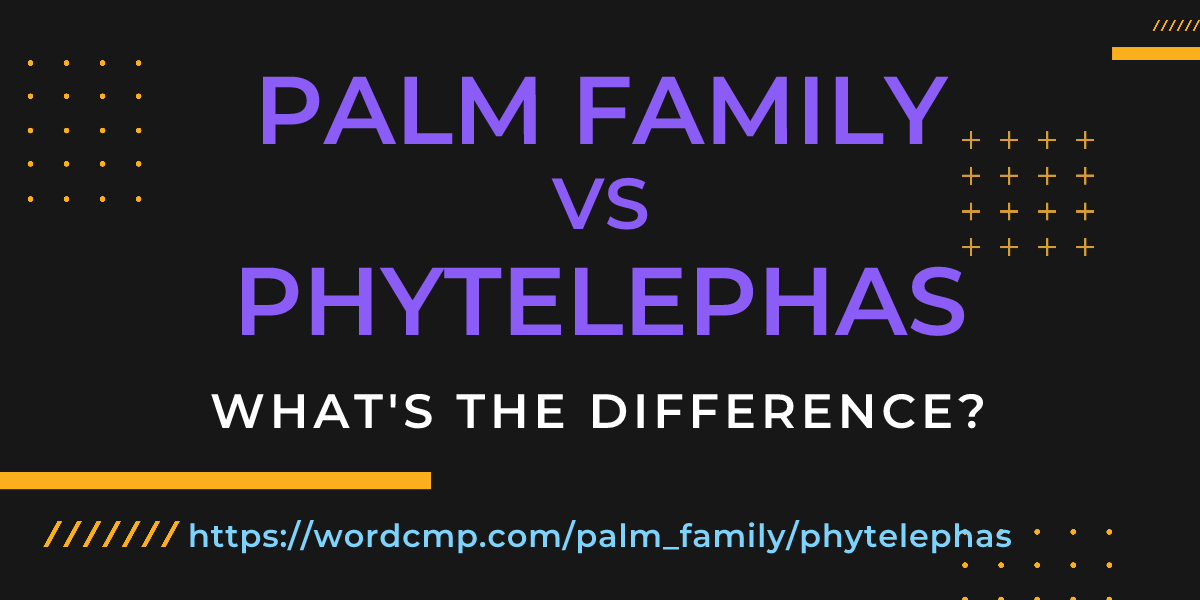 Difference between palm family and phytelephas